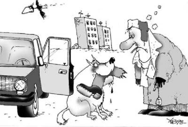 e-bon chien-humourenvrac